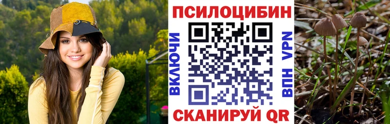 продажа наркотиков  Котлас  Галлюциногенные грибы Psilocybe 
